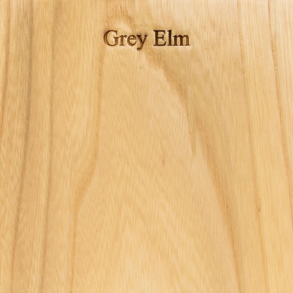 Grey Elm2