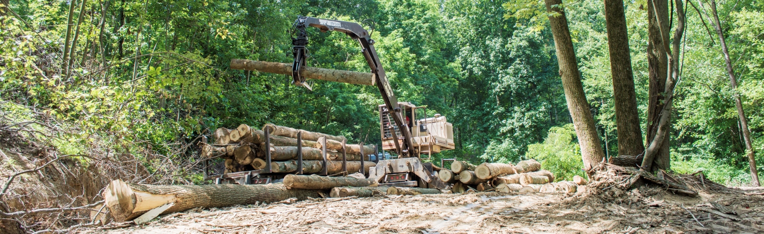 AboutSustainability